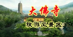 骚逼湿了啊啊啊视频中国浙江-新昌大佛寺旅游风景区